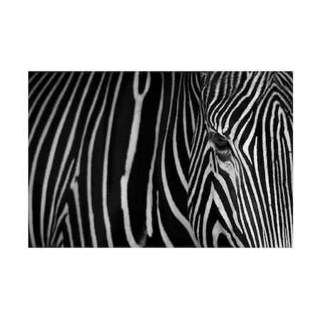 Sergio Saavedra Ruiz 'Stripes' Canvas Art, 30x47